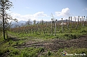 VBS_7422 - PressTour educational dedicato ai vini del Pinerolese e all’olio prodotto sulla collina di Pinerolo